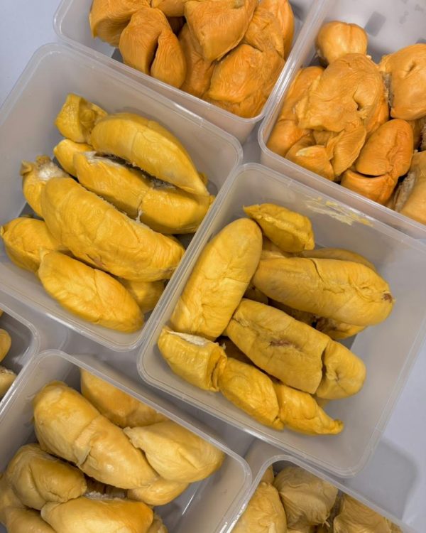 WhatsApp Image 2026-01-06 at 4.57.42 PM (1)