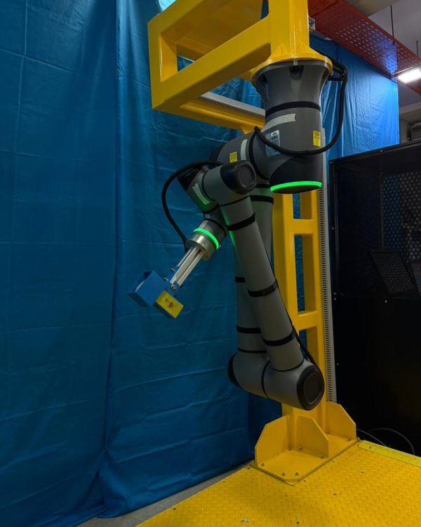 WhatsApp Image 2026-01-08 at 5.19.59 PM